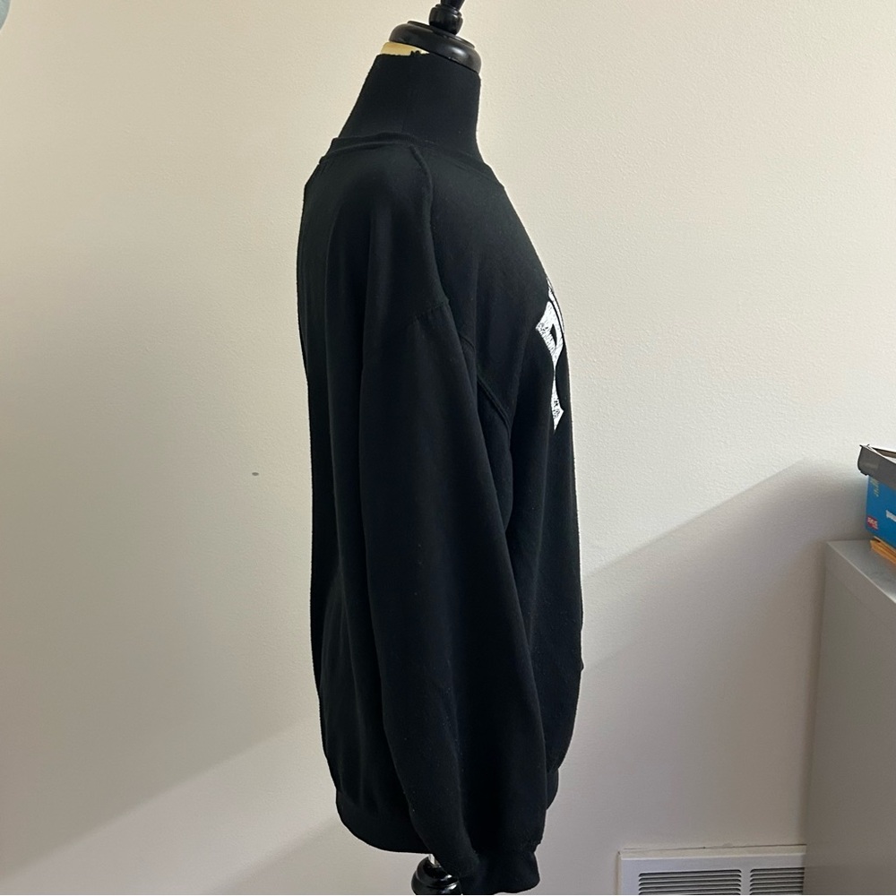 Pink Floyd black Sweatshirt, Dark Side of the Moon, Size L - Picture 3 of 9